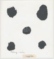 A kisnánai, a sárospataki Rákóczi- és a sümegi vár, 3 db fotó, hátuljukon feliratozva, különböző mér...