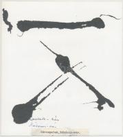 A kisnánai, a sárospataki Rákóczi- és a sümegi vár, 3 db fotó, hátuljukon feliratozva, különböző mér...