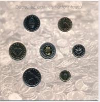 2008. 1Ft-100Ft 7xklf darabos forgalmi sor "Búcsú az egy- és kétforintostól" dísztokos sze...