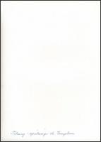 Templomfotók: Nógrádsáp, Tihany, Bélapátfalva, stb., hátuljukon feliratozva, különböző méretben, öss...