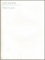 Templomfotók: Nógrádsáp, Tihany, Bélapátfalva, stb., hátuljukon feliratozva, különböző méretben, öss...