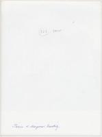 A pácini Mágóchy-várkastély, hátulján feliratozva, 23×17,5 cm