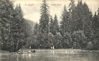 Lublófürdő, Kúpele Lubovna; Tó részlet, Sima Antal kiadása / lake (EK)
