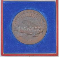 DN "A Szocialista Mezőgazdasági Repülésért" Br emlékplakett, hátoldalon gravírozva "A MEZŐGAZDASÁGI REPÜLÉS LÉTREHOZÁSÁÉRT", eredeti dísztokban. Szign: RSZ (96mm) T:1-