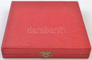 DN "A Szocialista Mezőgazdasági Repülésért" Br emlékplakett, hátoldalon gravírozva "A...