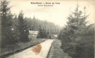 Biharfüred, Stina de Vale; út, villák / road, villas (Rb)