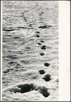 7 db Művészfotó, különféle művészektől, egy kartonra ragasztva, ötnek a hátoldalán feliratozás, fotó...