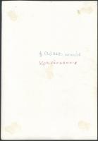 7 db Művészfotó, különféle művészektől, egy kartonra ragasztva, ötnek a hátoldalán feliratozás, fotó...
