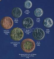 Csehország 1996. 1h-50K (9xklf) forgalmi szett dísztokban T:1
Czech Republic 1996. 1 Haleru - 50 Ko...