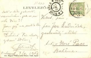 Budapest III. Óbuda, Özv. Kiss Károlyné vendéglője a Krempel malomhoz, kerthelyiség (fa)