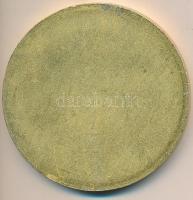 1974. "25 éves a polgári védelem" aranyozott fém emlékérem. Szign.:HG (80mm) T:2 kis ph