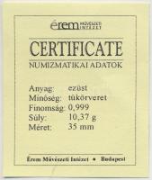 DN "A magyar nemzet pénzérméi - A legkisebb névértékű érme 1848-1916" Ag emlékérem tanúsít...