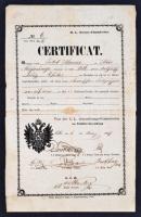 1857 Székesfehérvár, német nyelvű igazolvány és útvonalengedély móri személy részére