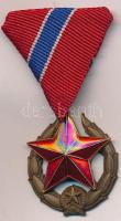1951. "Közbiztonsági Érem" bronz fokozata a karhatalom tagjai részére, patinázott Br kitüntetés mellszalagon T:2 NMK.: 554.
