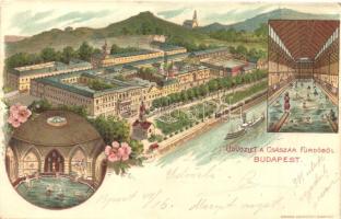 Budapest II. Császárfürdő, belső, floral, Kosmos litho (EK)