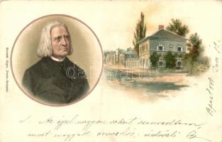 Liszt Ferenc és szülőháza, Schmidt Edgar litho