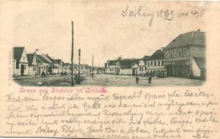 1899 Sárkány, Sercaia; utcakép, üzlet, kiadja F. Schnell / street view, shop (EK)