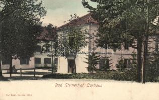 Bad Steinerhof (Südtirol), Curhaus / spa