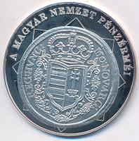 DN A magyar nemzet pénzérméi - Rákóczi szabadságharc ezüstforint 1703-1711 Ag emlékérem (10,38g/0.999/35mm) T:PP