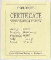 DN "A magyar nemzet pénzérméi - A forint rendszer bevezetése 1946-1948" Ag emlékérem tanús...