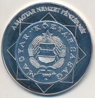 DN "A magyar nemzet pénzérméi - A Rendszerváltás téves verete 1989-1990" Ag emlékérem (10,...