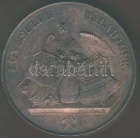 1842. "Besztercebánya-Magyar Orvosok és Természetvizsgálók..." Br plakett. Szign:H.Karl.F T:2