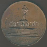 1872. "Mehádia-Magyar Orvosok és Természetvizsgálók..." Br plakett. Szign:Seidán T:2 korr.