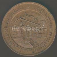 1872. "Mehádia-Magyar Orvosok és Természetvizsgálók..." Br plakett. Szign:Seidán T:2 korr