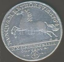 Német államok/Braunschweig-Wolfenküttel 1764. 2/3 Conventiontaler Ag T:3+
