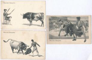 Budapesti bikaviadal - 3 db régi képeslap