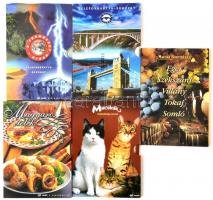 Kobra telefonkártya berakó 48 férőhellyel + Telefonkártya katalógus 1991-1999 + 11 db különféle motí...