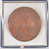 DN "Gróf Esterházy Miksa" Br emlékplakett dísztokban. Szign.: NR (?) (107mm) T:2