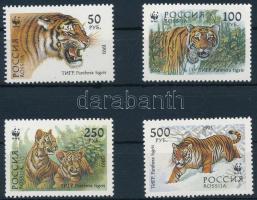 WWF Siberian tiger set + set 4 FDC WWF: Szibériai tigris sor + sor 4 FDC-n