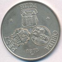 Csúcs Viktória (1934-) 1973. "Pest-Buda-Óbuda egyesítésének centenáriuma" Ag emlékérem (25,02g/0.800/42,5mm) T:2