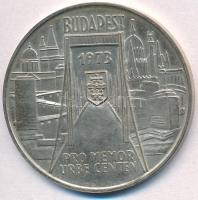 Csúcs Viktória (1934-) 1973. "Pest-Buda-Óbuda egyesítésének centenáriuma" Ag emlékérem (25...