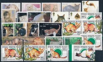Macska motívum 26 klf bélyeg, Cats 26 stamps