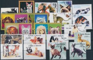 Cats 38 stamps, Macska motívum 38 klf bélyeg 2 stecklapon