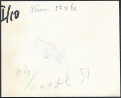 Ikarusz busz a forgalomban, fotó, hátulján feliratozva, 9×11 cm