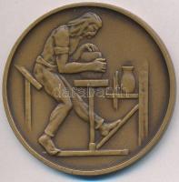 DN "Hollóháza" Br plakett (60mm) T:2