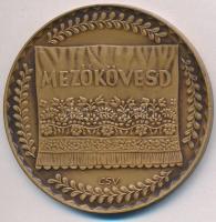 Csúcs Viktória (1934-) DN "Mezőkövesd" Br emlékérem (60mm) T:2