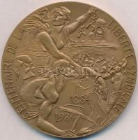 Franciaország 1984. "A szakszervezet 100. évfordulója 1884-1984 / Mindenki egyért, egy mindenkiért" Br emlékérem (178,58g/72mm) T:1- apró ph. France 1984. "100th Anniversary of  the Wokers Union 1884-1984 / All for one, one for all" Br commemorative medal (178,58g/72mm) C:AU small edge error