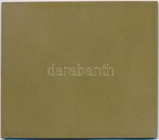 DN "KPVDSZ 1900-1975 - A szakszervezet iránti hűségért" Br emlékplakett (102,5x89mm) T:2 f...