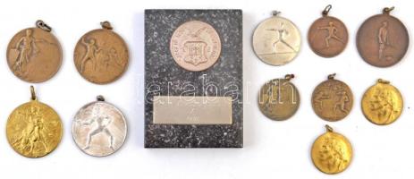 12db-os díjérem tétel, mind tőrvívás témában egy hagyatékból, közte 1938. "Férfi Tőrvívó bajnokság I. 1938" díjérem márványlapon, rajta még "Szegedi Testgyakorlók köre" ezüstözött Br érem T:2,2-