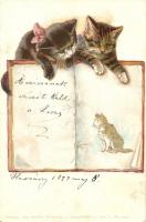 2 db 1899-ben postázott motívumos litho képeslap; macskák, katona / 2 motive postcards, mailed in 18...