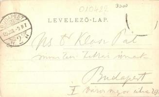 1899 Arad, Vértanú szobor, színház, kiadja Lengyel Lipót / staute, theatre, floral, litho (EK)