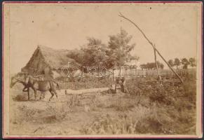 cca 1900 Pótharaszti csőszház, fotó kartonon, hátoldalán feliratozva, 11×16 cm