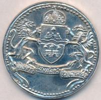 Ifj. Szlávits László (1959-) 1997. "Szent Flórián / Budapest Fővárosi Tűzoltóság" ezüstözö...