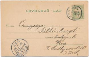 Jánosháza, Izraelita templom belseje, zsinagóga belső, Hidegforrás fürdő, Steiner M. utóda Steiner I...