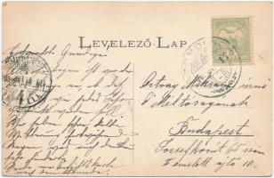 1905 Szomolnok, Smolnik; Város látképe a tűzvész után augusztus 27-én, segélylap a tűzkárosultak jav...