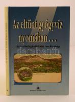 Dr. Back Frigyes: Az eltűnt gyógyvíz nyomában... (Az Erzsébet Sósfürdőtől a Szt. Imre Kórházig.) Budapest, é.n., Hygieia Alapítvány. Kiadói kartonált papírkötés, fekete-fehér illusztrációkkal.